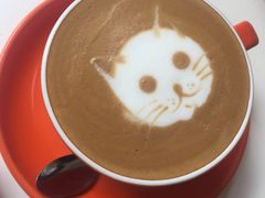 -Anne猫窝咖啡屋