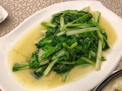 -芙蓉凰花园酒楼