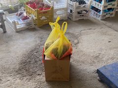 -马陆小张葡萄园农家乐