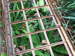 花花草草-RGF(巨鹿路店)