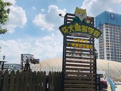 -柴犬高等学院·狗咖·柴犬售卖·宠物训练