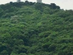-巢湖姥山岛