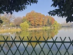 -月湖风景区