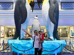 -帝企鹅自助餐厅•儿童岛•真企鹅(长隆企鹅酒店)