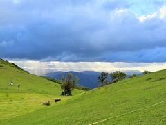-大姆山草场