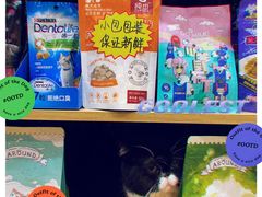 -1013 PET SHOP精品宠物商店(丁香店)