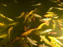 -海乐迪量贩KTV(五星店)