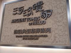 -洛阳古墓博物馆