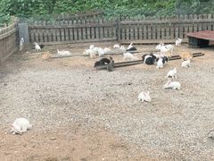 -桑干河大峡谷旅游区