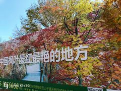 -丹东天桥沟景区
