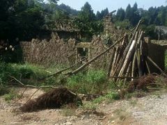 android_upload_pic-大罗山风景区