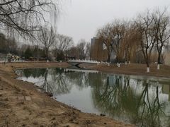 -河北省园博园