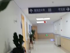 -上海市第四人民医院