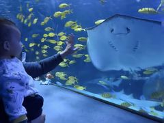 -太平洋海底世界