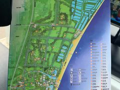 -日照海滨国家森林公园