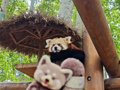 -北京野生动物园