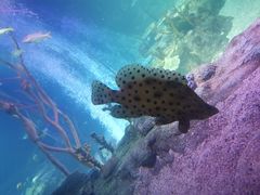 -沈阳海洋探索中心