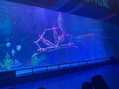 -泉城欧乐堡海洋极地世界