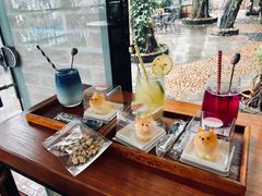 -柴犬高等学院·狗咖·柴犬售卖·宠物训练