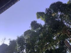 -成都观隐颐云台酒店-芳菲秀