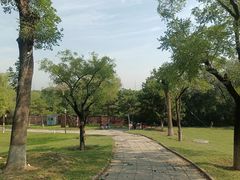 -云岗森林公园