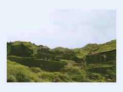 -枸杞岛