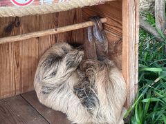 -乐和乐都主题乐园