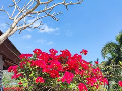 -石梅湾艾美度假酒店