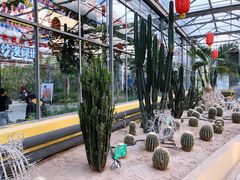 -南宫五洲植物乐园