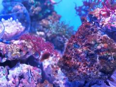 -多彩贵州城极地海洋世界