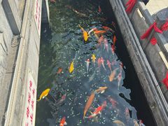 -长春观
