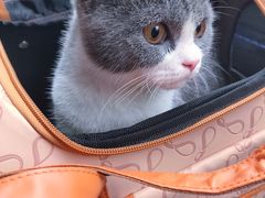 -宠爱有家宠物店(环镇北路店)