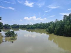 -崖口红树林海鲜餐厅