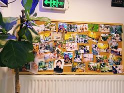 -AFA Hair studio·女士发型设计