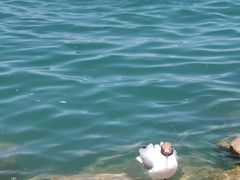 -青海湖二郎剑景区