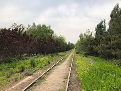 -永定河休闲森林公园