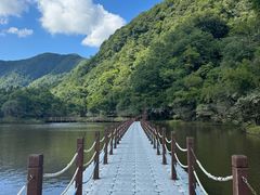 -大九湖