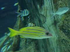 -福州罗源湾海洋世界旅游区