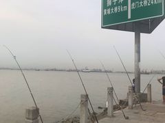 -海鸥岛