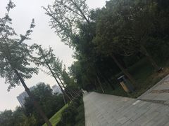 -唐城墙遗址公园