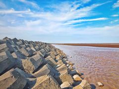 -南汇嘴观海公园