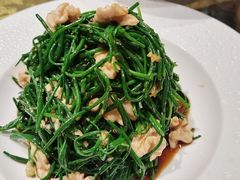 -老阿妈蒙古村·蒙古包·草原文化·歌舞表演(老君堂店)