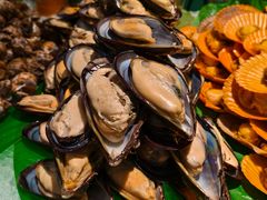 -海纳百川(义乌店)