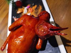 红烧乳鸽-大鸽饭(岗顶店)