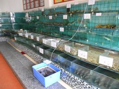 水产区-海岛渔村大酒店(云霄路店)