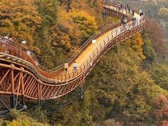 -少华山国家森林公园