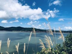 -桃花岛风景旅游区