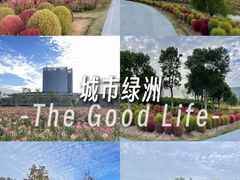 -春花秋色城市公园