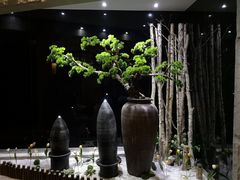 -纽斯桑拿会所(天山店)