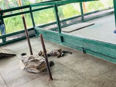 -秦皇岛野生动物园